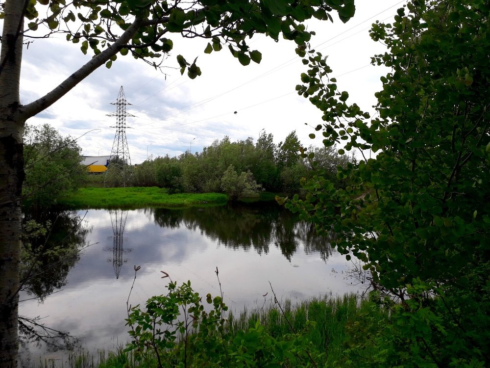 Перед дождём