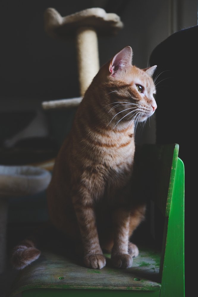 Thinking about the food