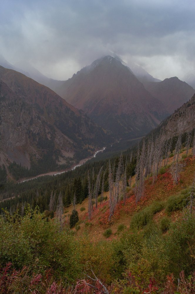 Photograph by Татьяна Рыжова