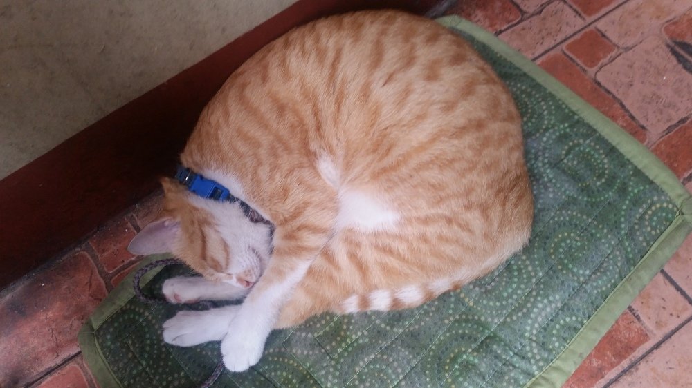 All curled up