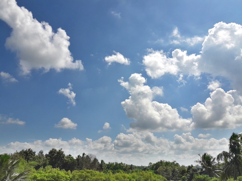Landscape of cloudy sky.