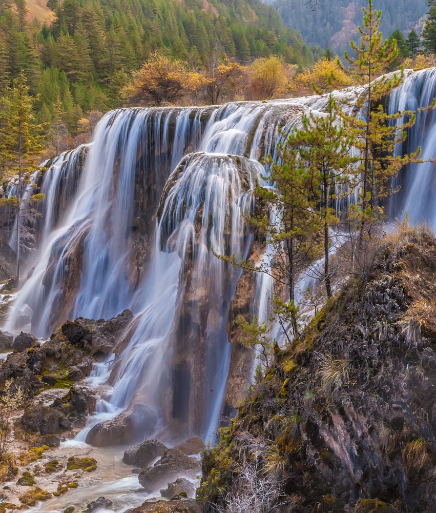Водяные покрывала.