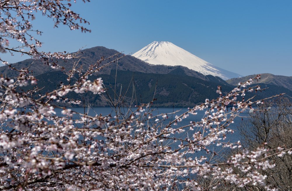 Fuji