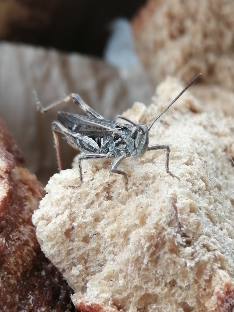 Photograph by Захар Пфейфер