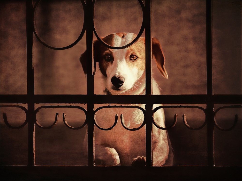 I want to go out !!!!!!