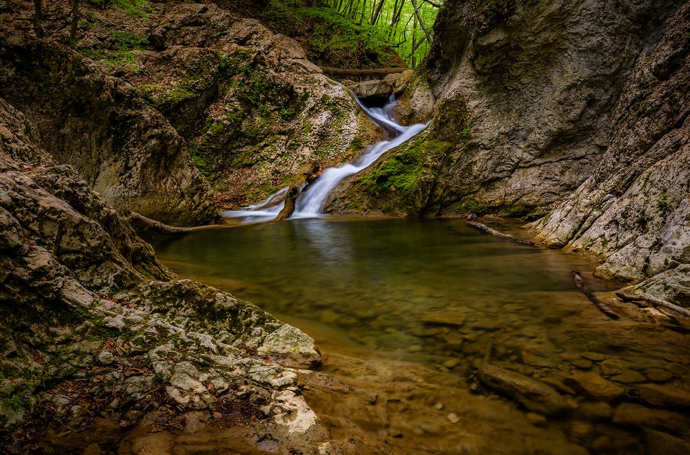Крым. Лесная тишина.
