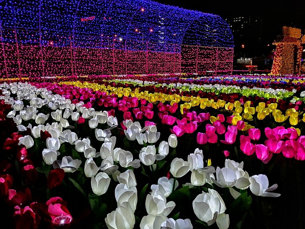 Colorful Turnips in the night