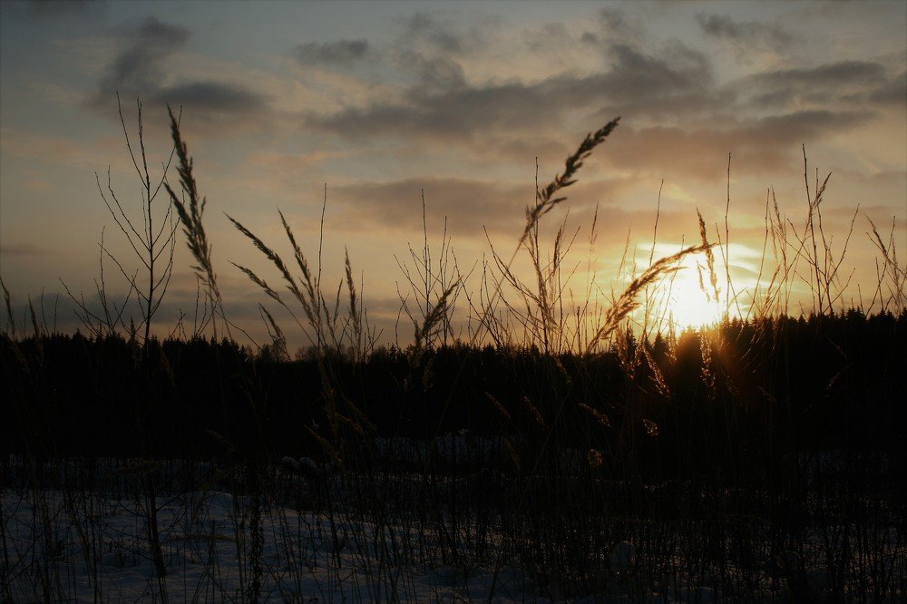 winter sunset on the field