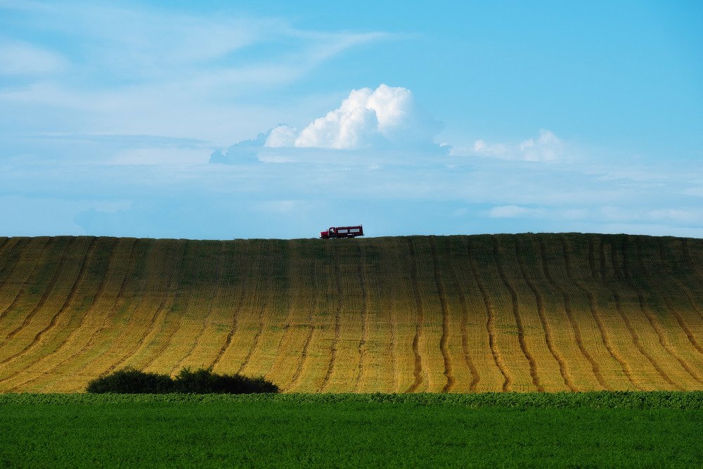 В поле на страже