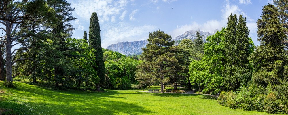 Солнечная поляна