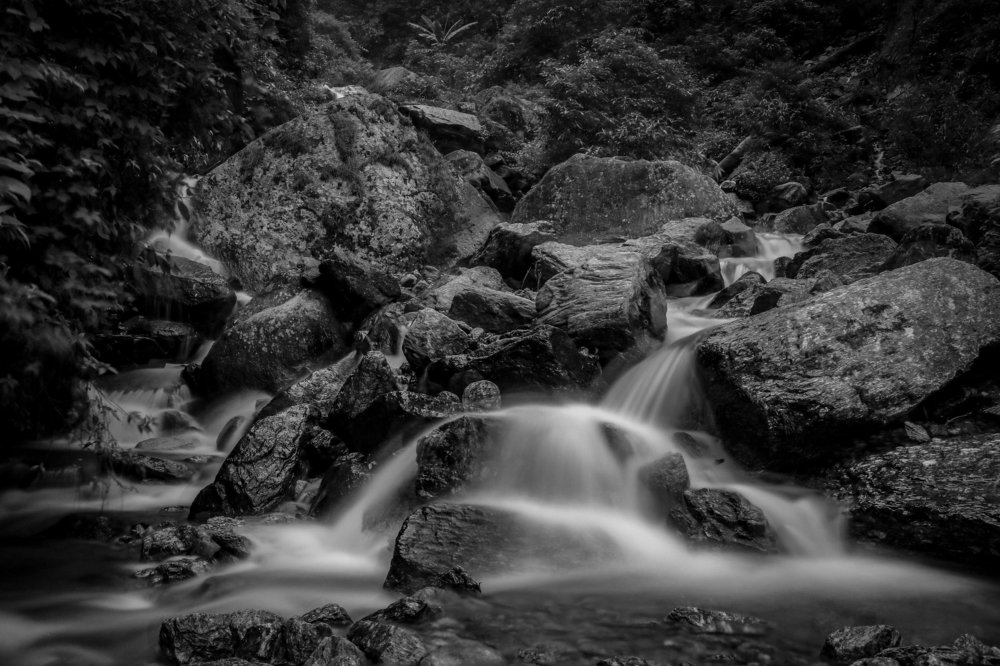 The perfect traveller