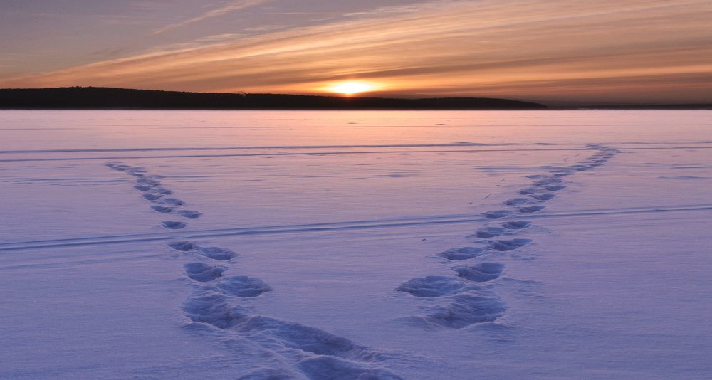 И разошлись пути...