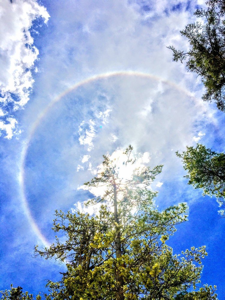 Rainbow