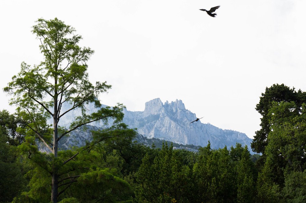 Зубцы Ай-Петри