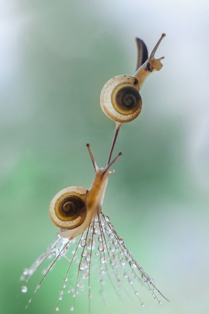 Photograph by Аксана Чалова