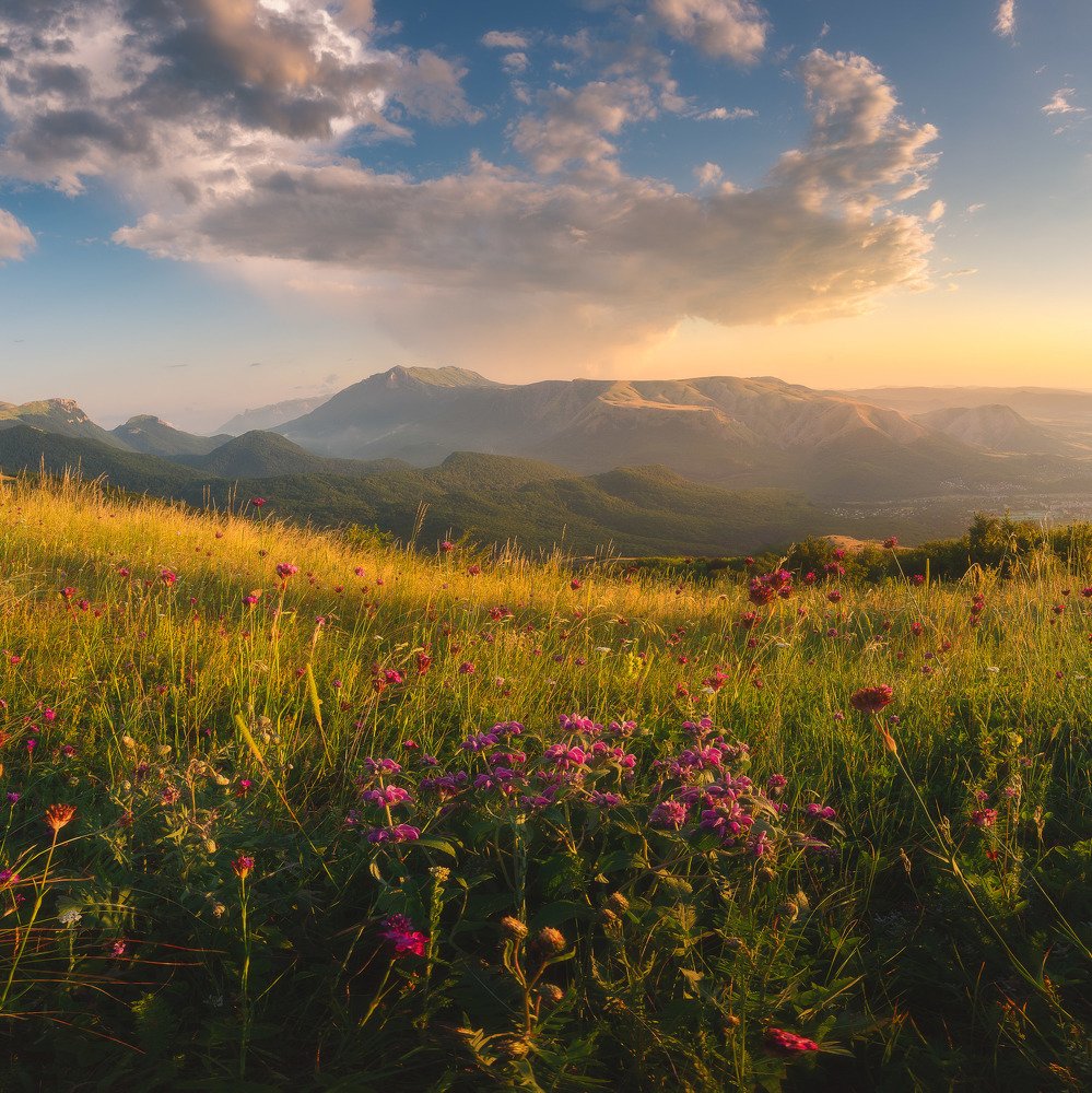 Photograph by Oleg Feofanov