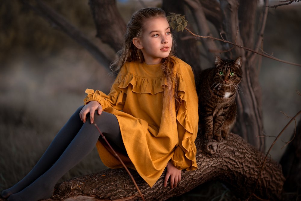 В заколдованном лесу