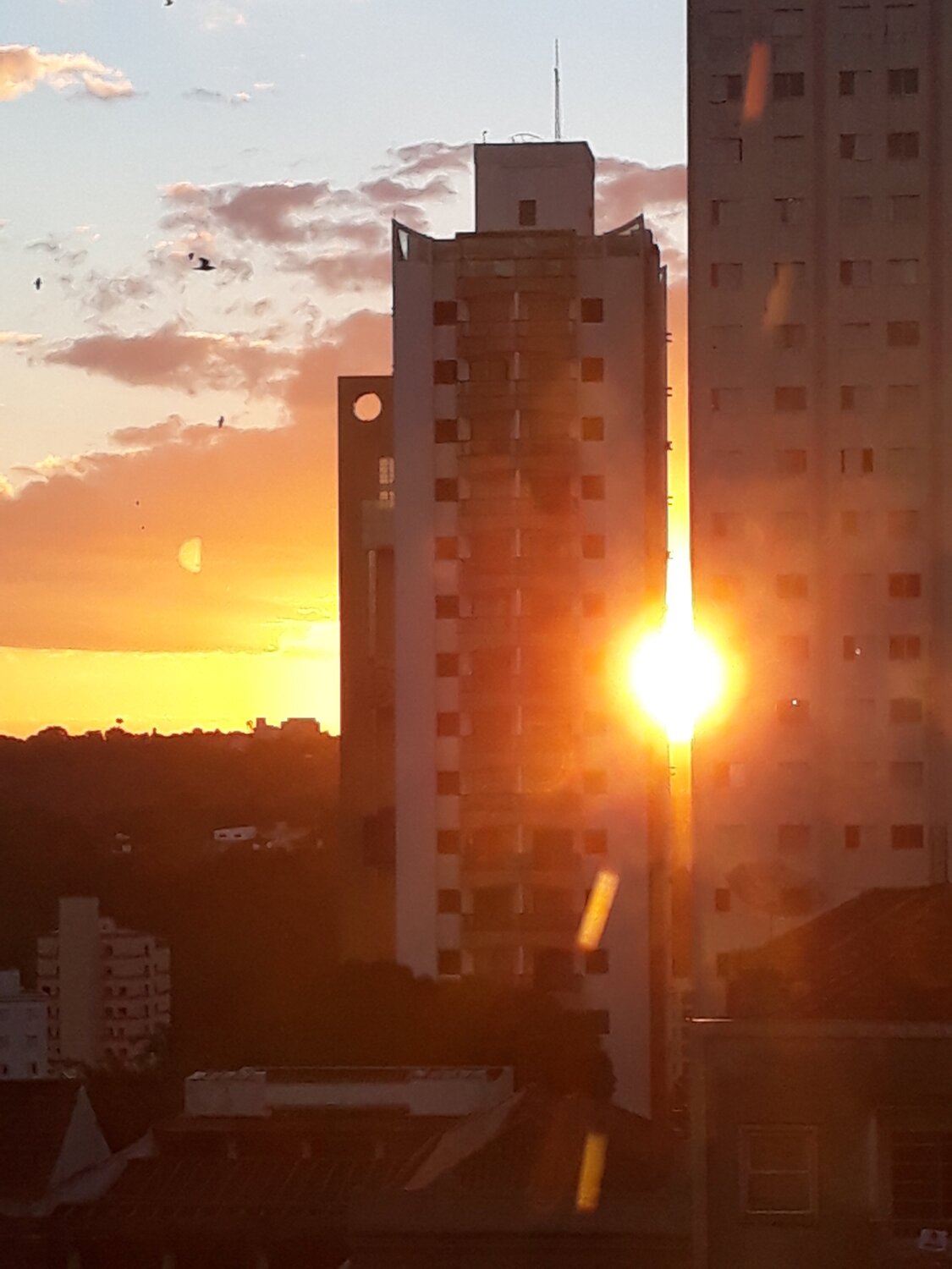 Too much urban sunset