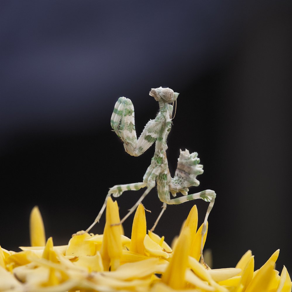 I hope it will not rain tomorrow