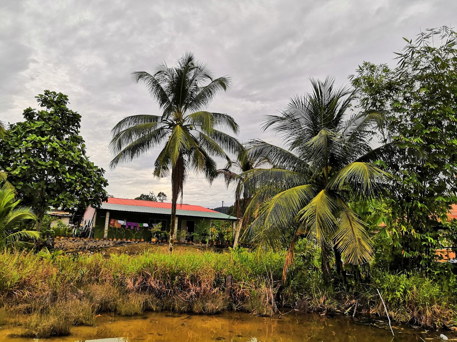 kampung