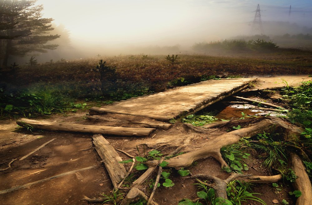И начиналось новое утро......