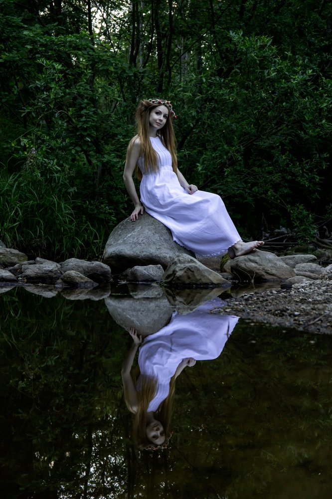 Посвящение Васнецову