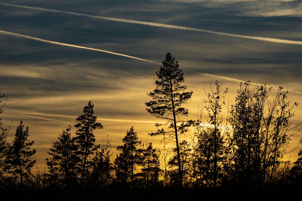 золото заката..