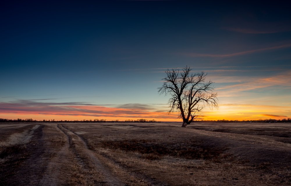 Photograph by Андрей Евтюшкин