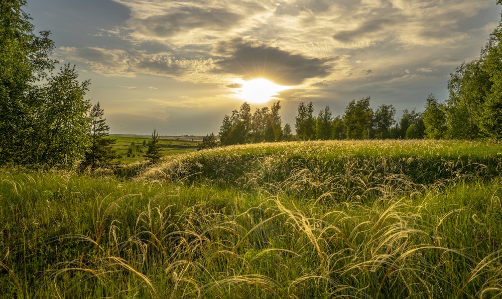 Photograph by Игорь Кляхин