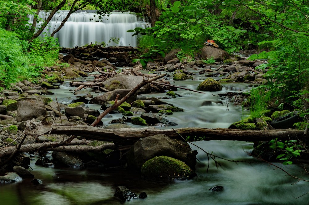 Где то в городских джунглях
