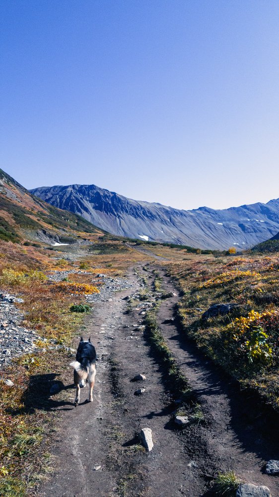С верным другом