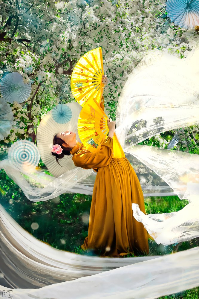 Мотивами танцев гейши