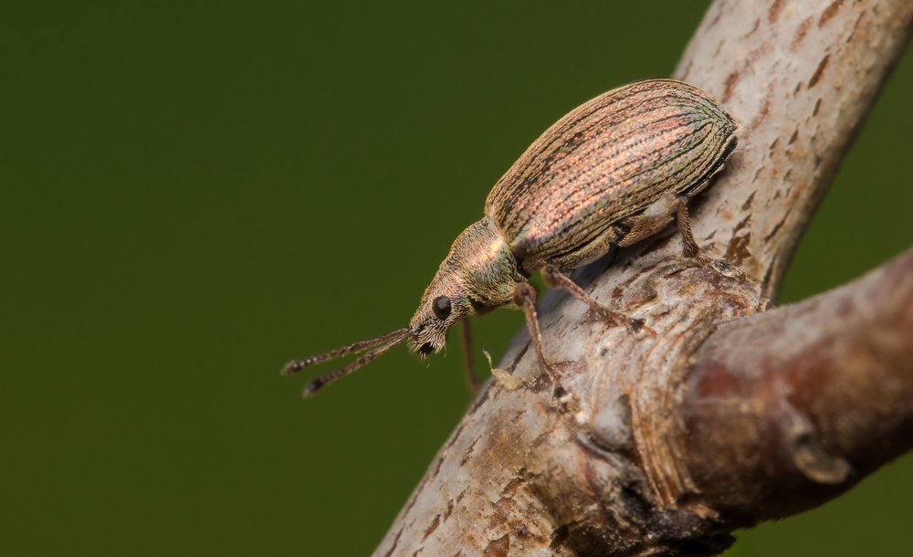 Photograph by Сергей Тригуб