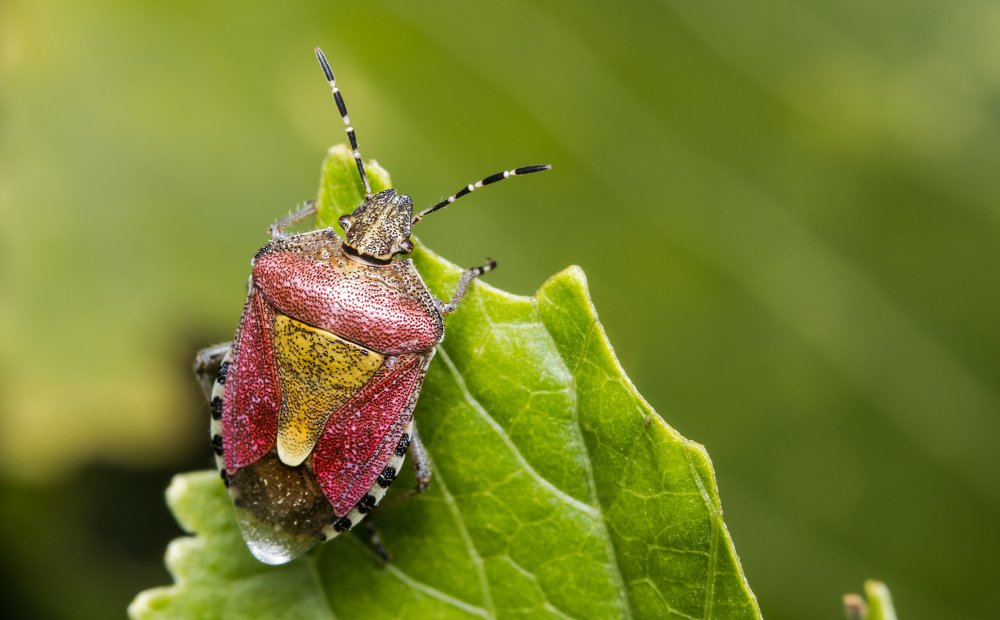 Photograph by Сергей Тригуб