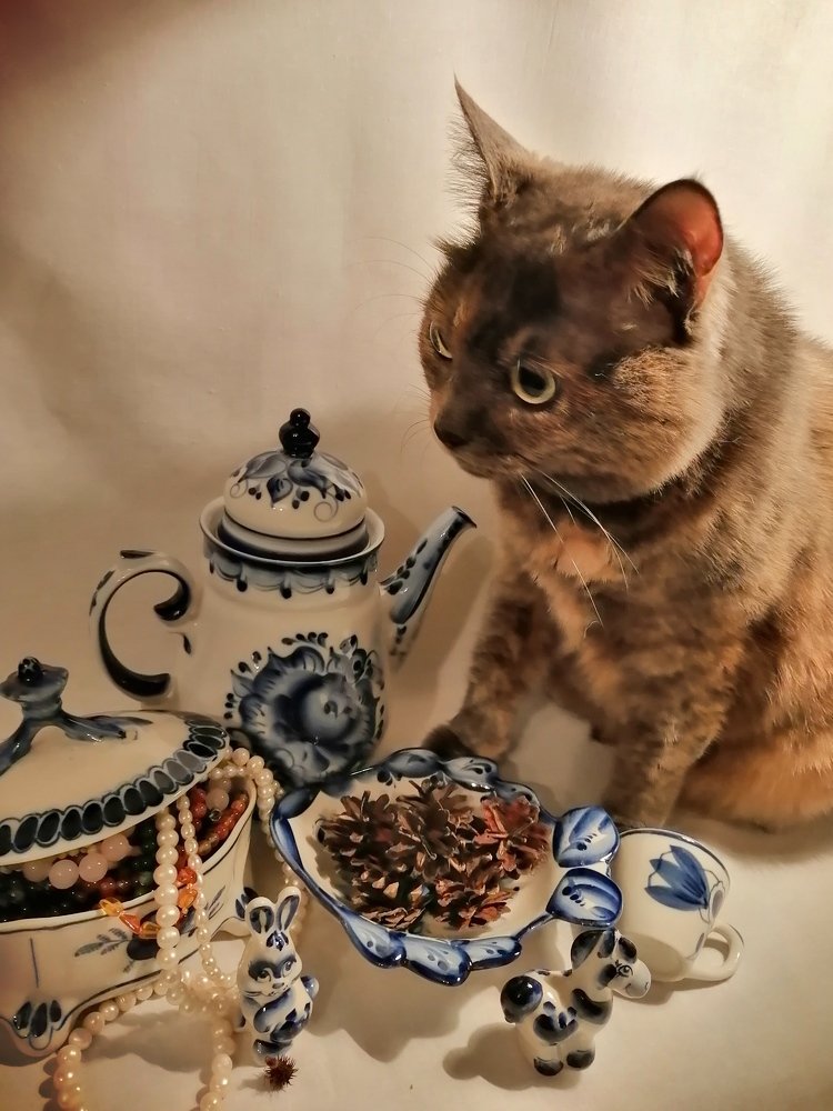 Вот что я люблю