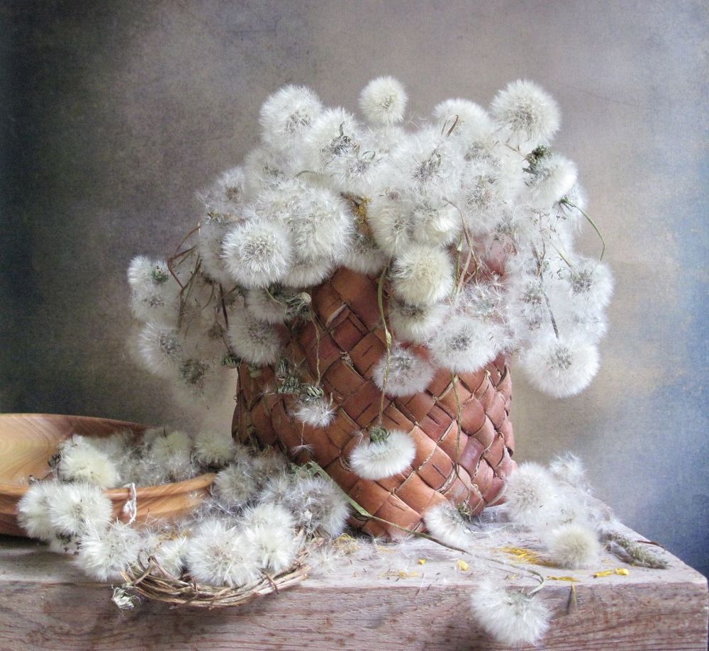 Поседеть не значит состариться