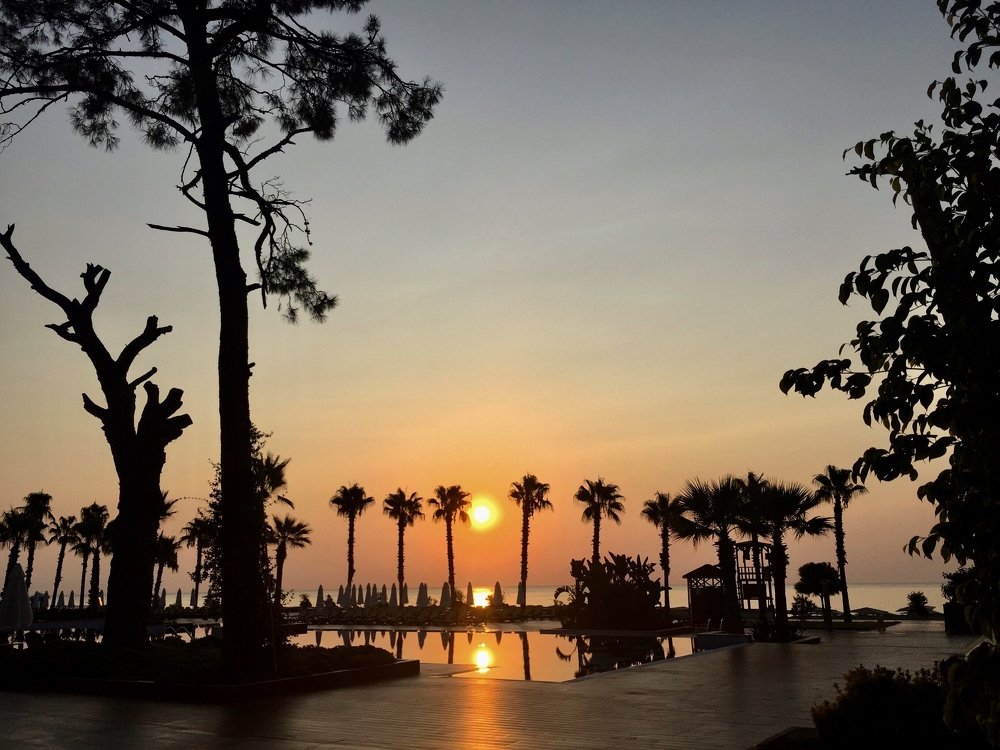 От заката до рассвета