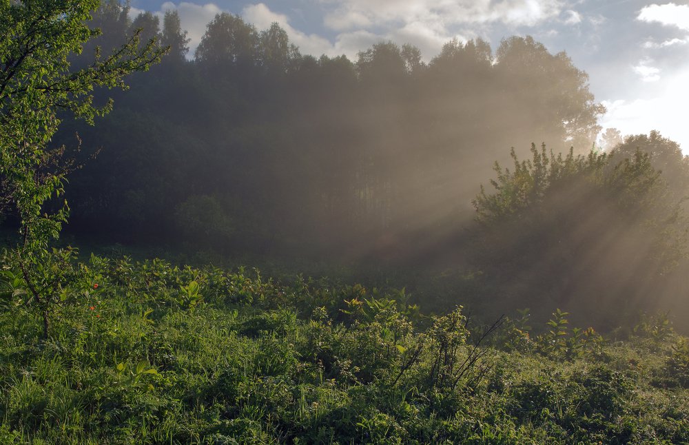 Утро Алтайского заповедника