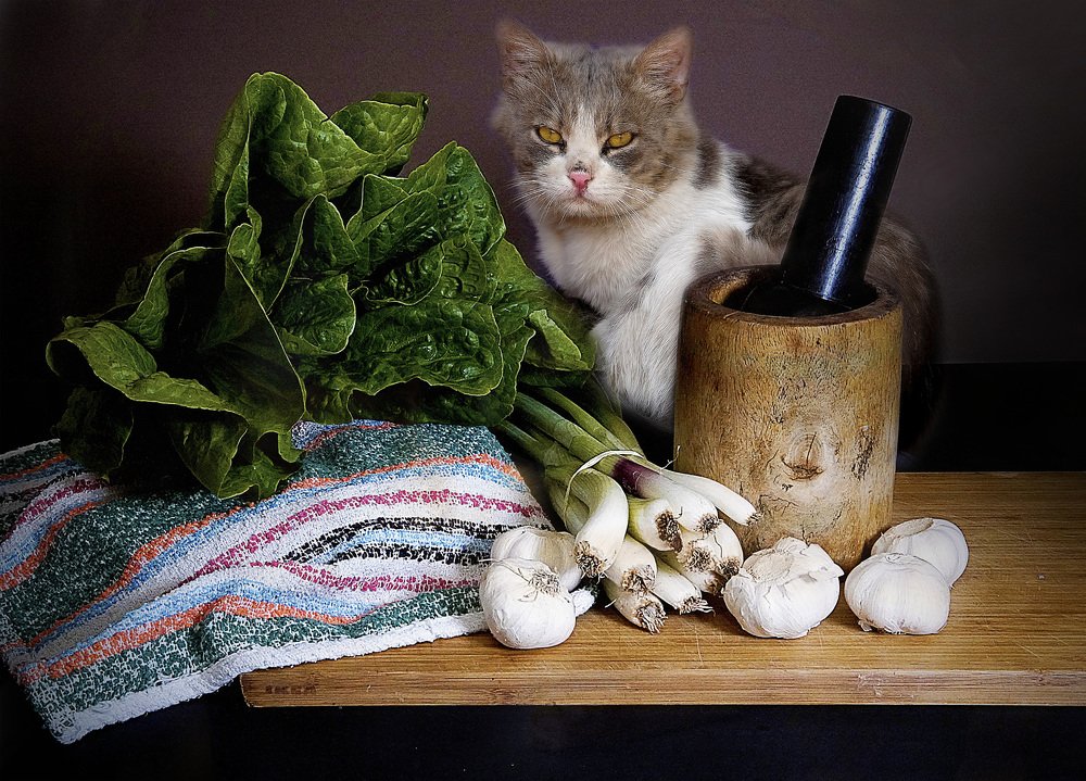 Photograph by Raed Victor Saad