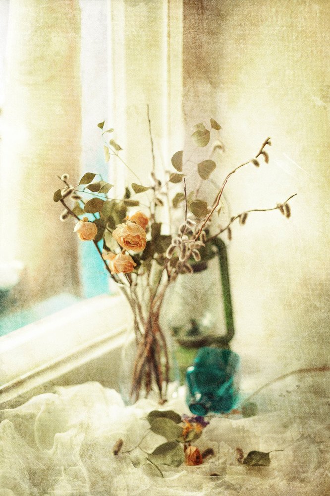 Photograph by Алена Пайвина