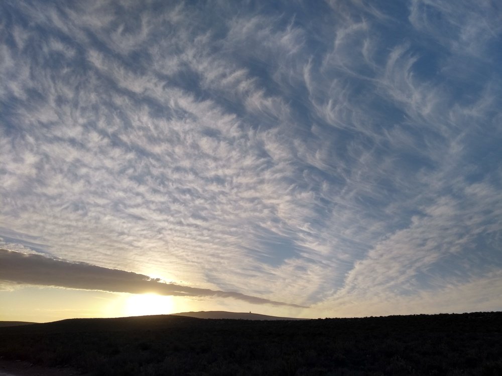 Karoo