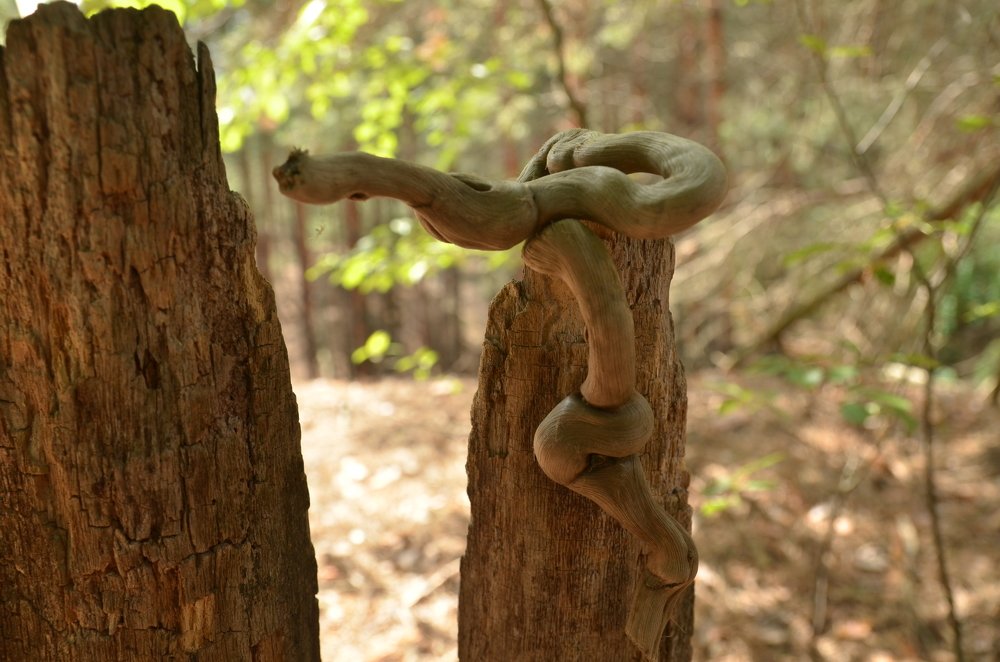 Туристо-альпинисто...