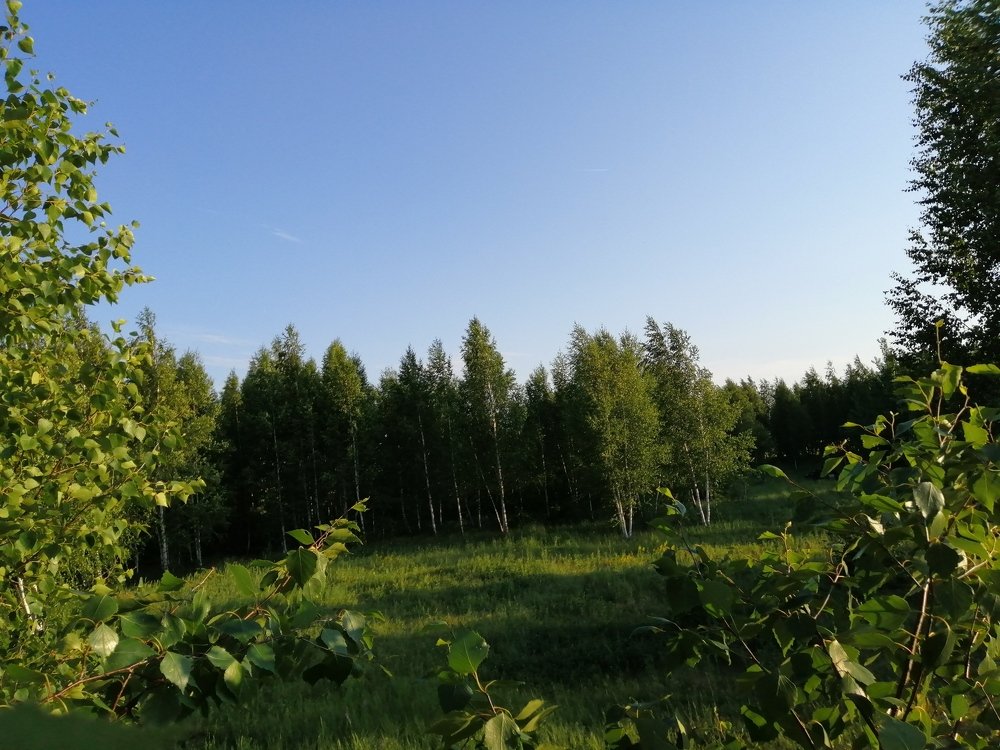 Photograph by Захар Пфейфер