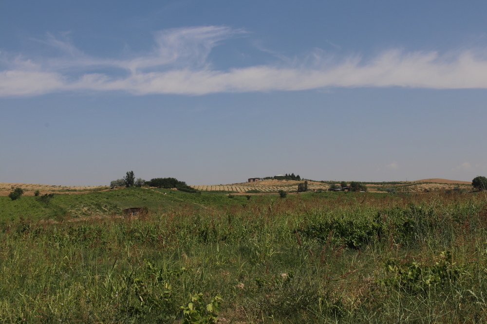 Photograph by Ekaterina