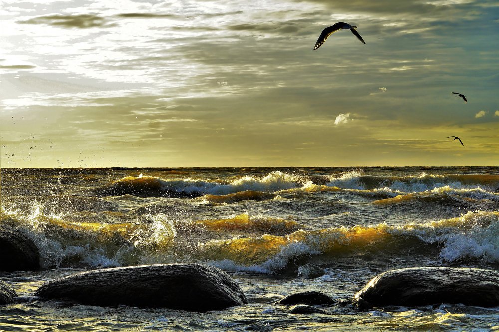 БЕСПОКОЙСТВО