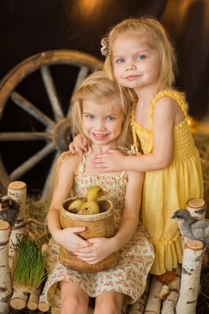 сестрички лисички