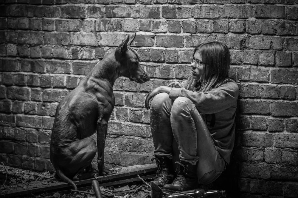 Последний человек на Земле не одинок