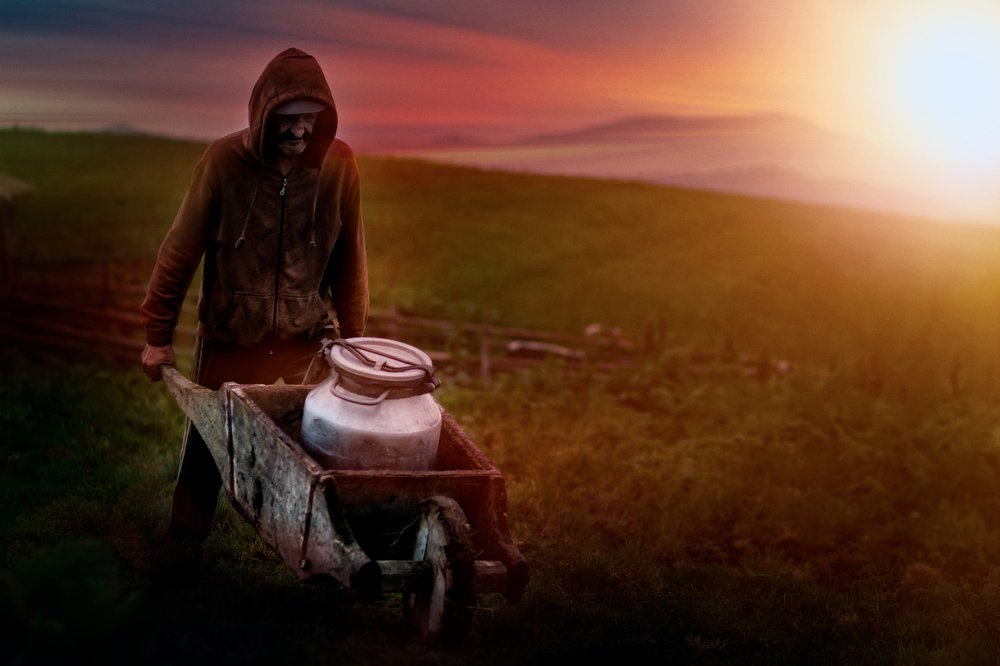 Работа на ферме