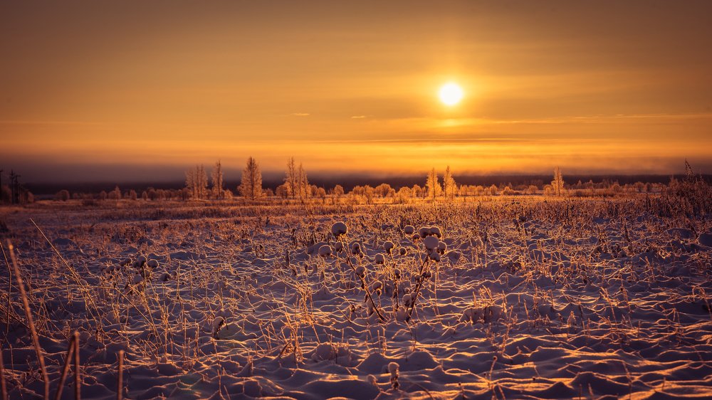 Доброе утро