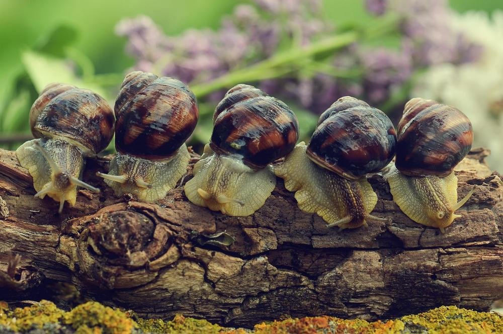 Фотография автора Билан Виктория